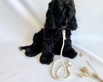 Willi's dog leash handmade