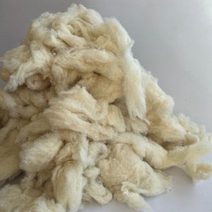 Organic Wool Stuffing - 1 Pound Natural Sheep Wool Filler For Crafts & Pillows