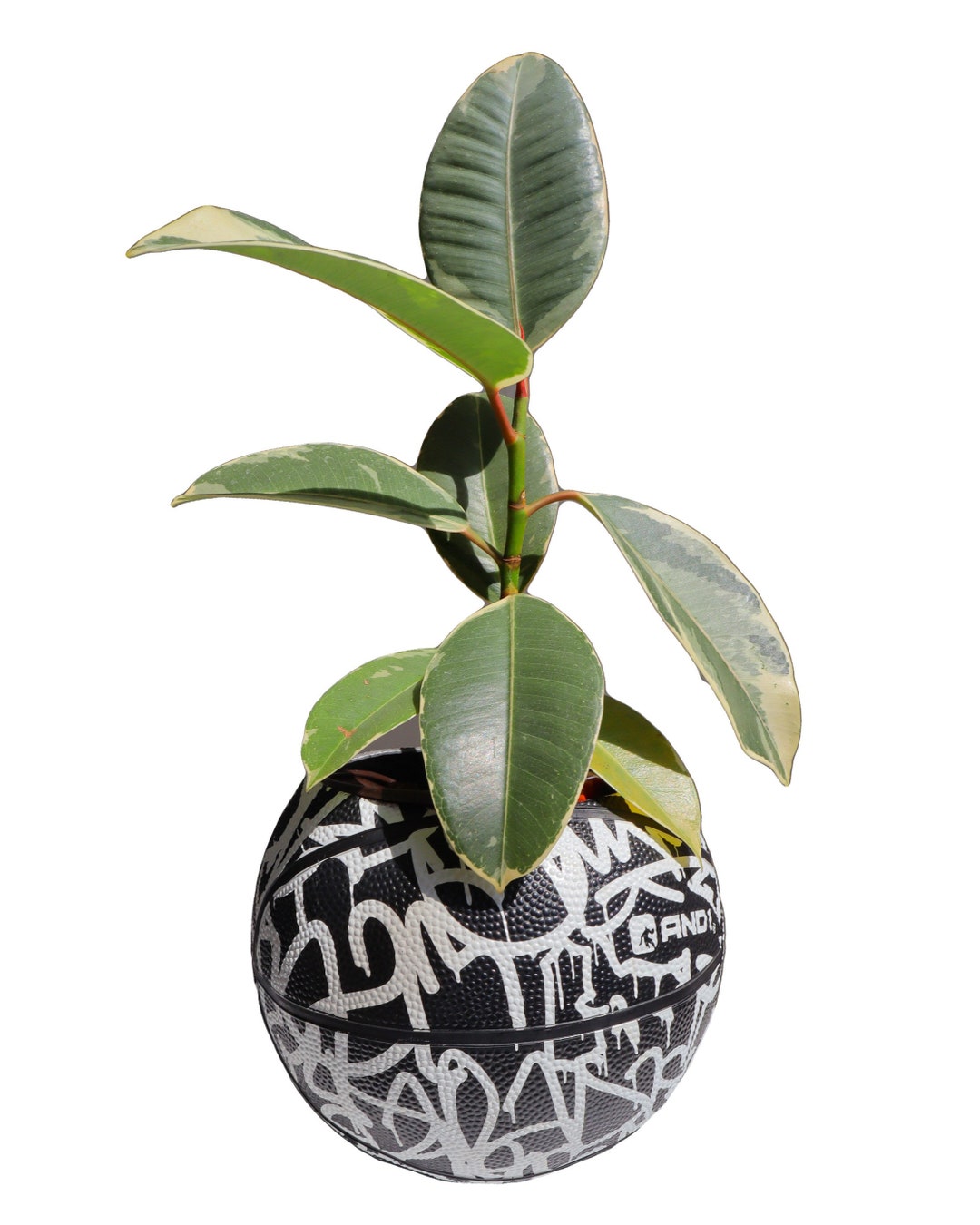 Mini Basketball Planter Etsy