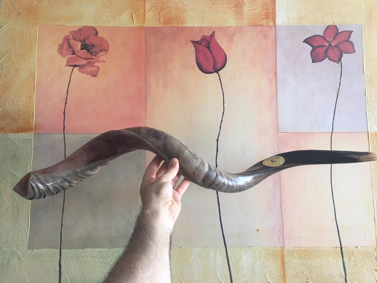 Sale for Yemenite Shofar Kudu Horn Chofar 49 125CM Etsy
