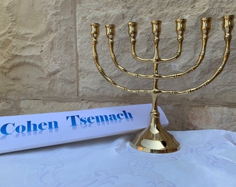 Classic Shape Brass Rame 8 Pollici Israel Vintage Menorah Judaica Portacandele