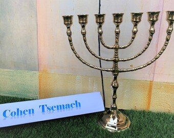 Authentic 12 Inch Brass Copper Menorah Vintage Candle Holder Judaica Israel