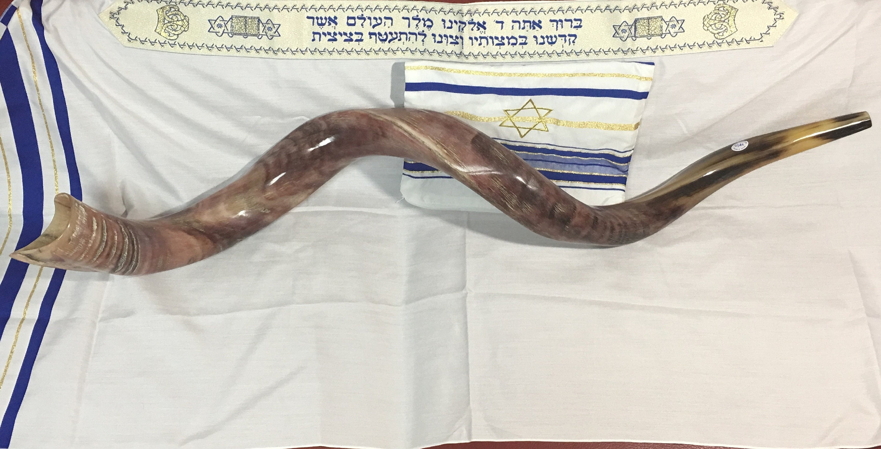 Sale for Yemenite Shofar Kudu Horn Chofar 49 125CM Etsy