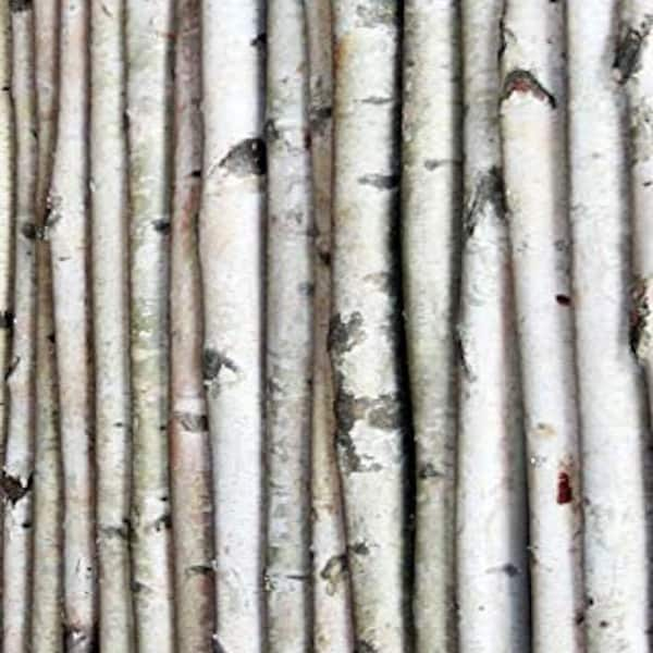 Decorative Birch Poles 6ft (4 Poles 1 1/2"-2 1/2" dia.)