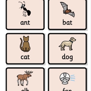 Op de afbeelding: Een set decodeerbare alfabetkaarten met zes rechthoekige vakken met illustraties en tekst. De kaarten tonen een mier, vleermuis, kat, hond, eland en ventilator, elk gecombineerd met het bijbehorende woord in zwarte kleine letters op een lichte achtergrond.