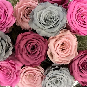 Stabilisierte Rosen I getrocknete Rosen I Infinity Roses I Trockenblumen I Dried flowers I fermentierte Rosen | echte Rosen