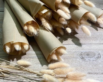 Lagurus bunny tail different colors part 3