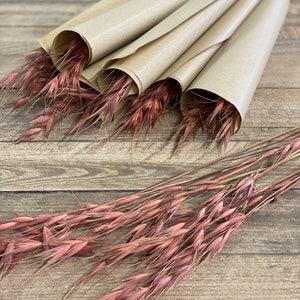 Könnte beinhalten: Ein Bündel getrockneter rosa Hafergras, das in braunes Papier gewickelt ist. Hafergras ist eine beliebte Wahl für Blumenarrangements und Wohnaccessoires.