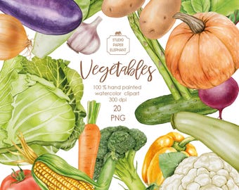 May include: A watercolor illustration of a variety of vegetables, including a red tomato, a yellow onion, a green cabbage, a purple eggplant, a green zucchini, a yellow bell pepper, a green broccoli, a yellow corn cob, a green cucumber, a green pea pod, a white cauliflower, a red beet, a yellow pumpkin, a brown potato, a white garlic bulb, and a bunch of green asparagus. The illustration is labeled "Vegetables" and includes the text "100% hand painted watercolor clipart 300 dpi 20 PNG".