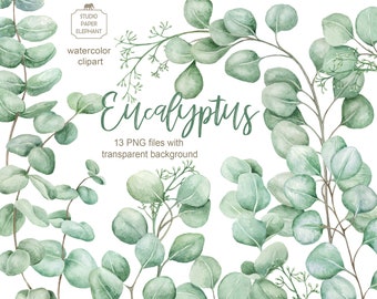 Watercolor Eucalyptus clipart, Eucalyptus leaves, Eucalyptus branches, Wedding greenery clipart eucalyptus, instant download, PNG