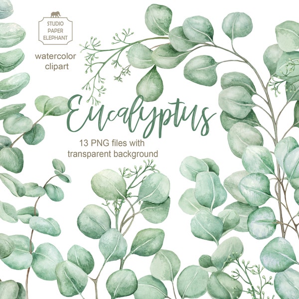 Watercolor Eucalyptus clipart, Eucalyptus leaves, Eucalyptus branches, Wedding greenery clipart eucalyptus, instant download, PNG