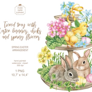 Abgestuftes Tablett mit Osterhasen, Küken und Frühlingsblumen, Ostern Aquarell Clipart, Ostergesteck, PNG, sofortiger Download.