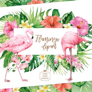 May include: Two pink flamingos with long necks and long legs stand in front of a tropical background of green leaves and pink flowers. The text "Flamingo clipart" is written in brown text on a white background.