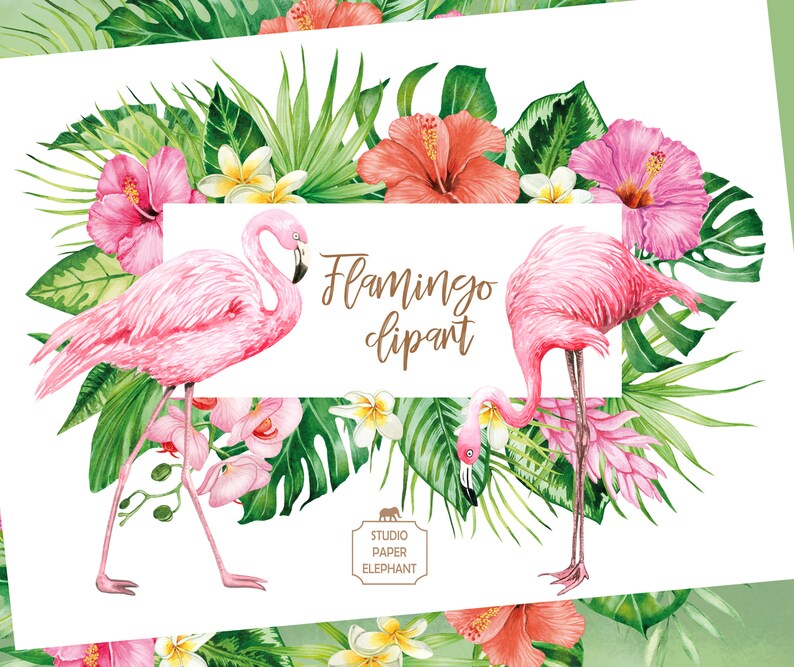 Watercolor Flamingo Clipart: Tropical Flowers & Bouquets (PNG, Digital ...