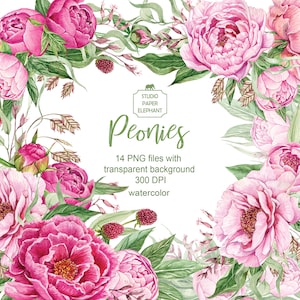 Aquarelle Pink Peonies clipart, Bouquet pink peonies, Wedding flower clipart, floral clipart, PNG, téléchargement numérique instantané.