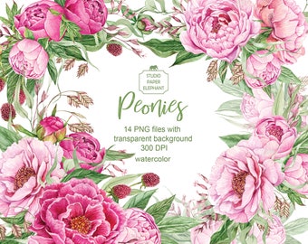 Watercolor Pink Peonies Clipart: Floral Bouquet PNG (Digital Download)