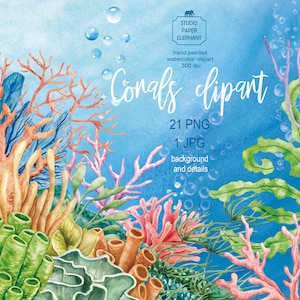 Imágenes prediseñadas de corales marinos de acuarela, imágenes prediseñadas de arrecife de coral, imágenes prediseñadas marinas con fondo, PNG, descarga instantánea.