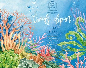 Clipart de coral marino en acuarela: Escena de arrecife, fondo marino (PNG, descarga instantánea)