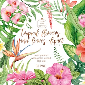 Acuarela Flores tropicales y hojas clipart, Plantas tropicales, Clipart de la selva, Boda de Hawái, Clipart de vegetación, PNG.