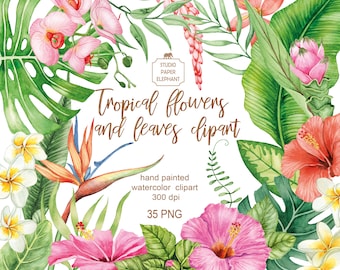 Aquarell tropische Blumen Clipart: Dschungel Blätter, Hochzeit Hawaii (PNG)