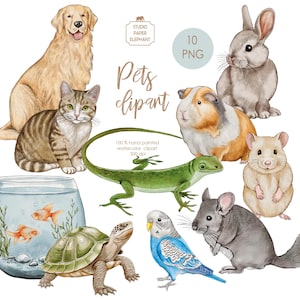 Può includere: Illustrazione ad acquerello di vari animali domestici, tra cui un golden retriever, un gatto tigrato, un coniglio, una cavia, un criceto, una lucertola, un cincillà, un pappagallino, una tartaruga e pesci rossi. Il testo "Pets clipart" è visibile.