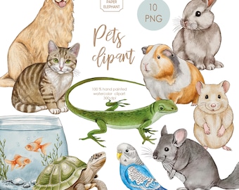 Hand-Painted Watercolor Pets Clipart Set, Domestic Animals PNG (Digital Download)