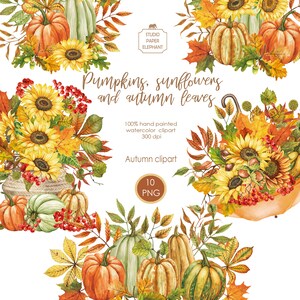 Composições em aquarela com abóboras, girassóis e folhas de outono clipart Clipart de abóbora de outono download instantâneo PNG