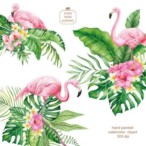 May include: Watercolor clipart featuring three pink flamingos with tropical green leaves and pink flowers. The image is labeled "Studio Paper Elephant" and "hand painted watercolor clipart 300 dpi".