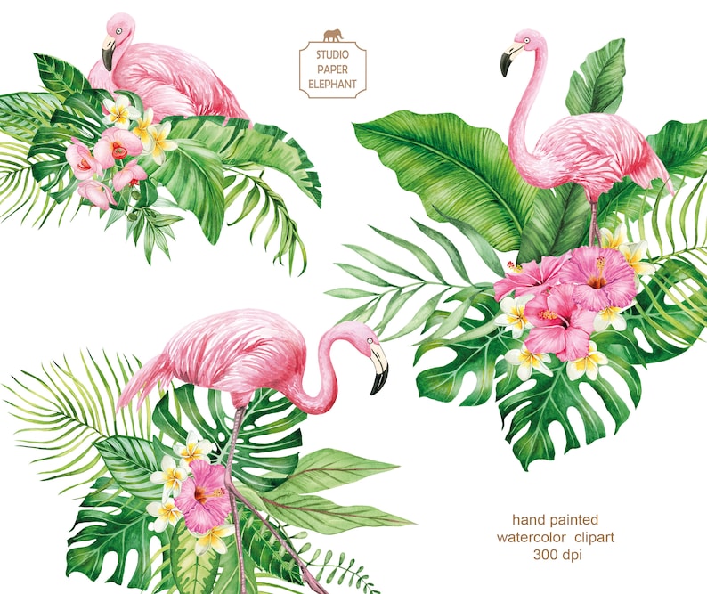 Watercolor Flamingo Clipart: Tropical Flowers & Bouquets (PNG, Digital ...