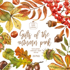 Clipart de hojas de otoño de acuarela, clipart de hojas de otoño, clipart de hojas de otoño, PNG, descarga instantánea.