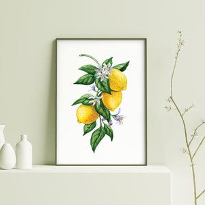 Watercolor Lemon Clipart, Citrus Clipart, Lemon Branches, Lemon Flowers ...