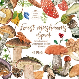 Clipart de setas del bosque de acuarela, Setas comestibles, Setas no comestibles, Clipart de otoño, Clipart de bosque, PNG.