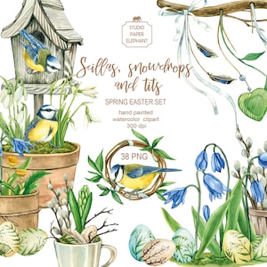Aquarelle perce-neige clipart, scillas et mésanges, printemps Clipart, clipart de Pâques, printemps fleurs Clipart, oeufs de Pâques, nichoir, PNG.
