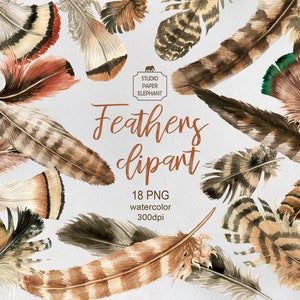 Imágenes prediseñadas de plumas de acuarela, imágenes prediseñadas de plumas, imágenes prediseñadas de plumas boho, plumas pintadas a mano, imágenes prediseñadas boho, imágenes prediseñadas de boda, PNG.