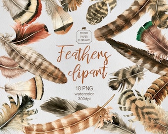 Watercolor Feathers clipart, feather clipart, boho feathers clipart,  hand painted feathers, bohemian clipart, wedding clipart, PNG.