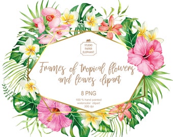 Tropical Flower Frames: Gold Design, Watercolor Clipart (PNG)