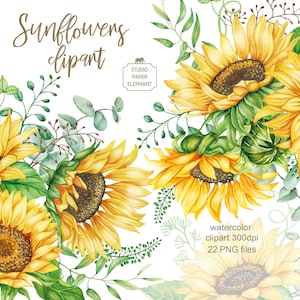 Aquarelle tournesols clipart, Fleurs de tournesol, Fleurs jaunes, Bouquets de tournesol, Clipart de fleurs d’été, téléchargement instantané, PNG.