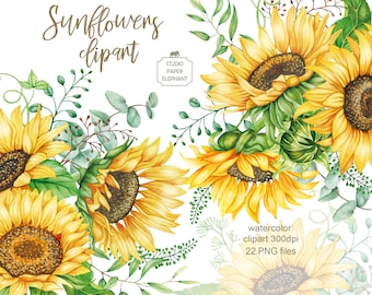 Watercolor Sunflower Clipart: Summer Flower Bouquets (PNG, Digital Download)