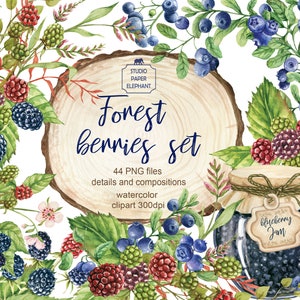 Acquerello Berry Clipart, Blackberry Clipart, Blueberry Clipart, Wild Berries, Berry Bouquet Clipart, Forest berry, Instant download, PNG.