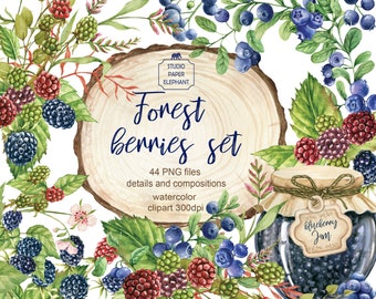 Watercolor Berry Clipart: Blackberry, Blueberry Bouquet (PNG, Instant Download)