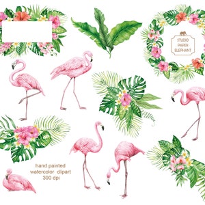 May include: Watercolor clipart set featuring pink flamingos and tropical foliage. The set includes a wreath, a banner, and several individual elements. The artwork is hand-painted and perfect for adding a touch of tropical flair to your designs.