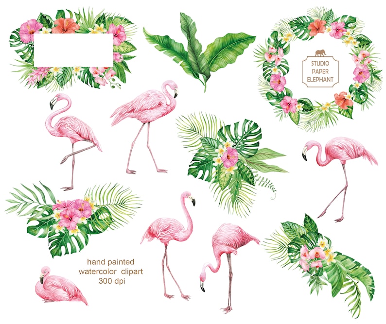 Watercolor Flamingo Clipart: Tropical Flowers & Bouquets (PNG, Digital ...