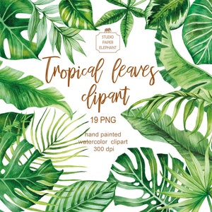 Watercolor tropical leaves clipart, Monstera leaves clipart, Tropical greens, Summer clipart, instant download, PNG.