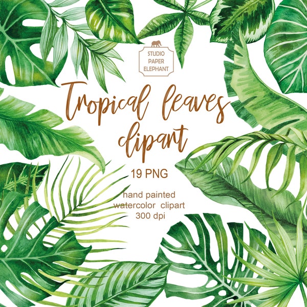 Watercolor tropical leaves clipart, Monstera leaves clipart, Tropical greens, Summer clipart, instant download, PNG.