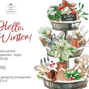 Acuarela de invierno jardinería decoración del hogar clipart, arreglo de jardinería, diseño de bandeja escalonada invierno, PNG, descarga instantánea.