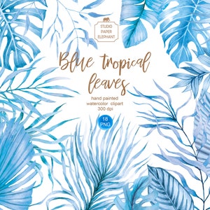 Feuilles tropicales bleues aquarelle, conception tropicale bleue, cadres tropicaux bleus, mariage tropical bleu, feuilles de palmier, Monstera Clipart, PNG.