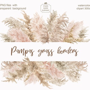 Borda de capim-dos-pampas, Bordas de capim-dos-pampas em aquarela boho, Convite de casamento estilo boho, Cores naturais, Design da natureza, PNG.