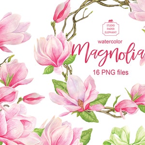 Watercolor Pink Magnolia clipart, spring clipart, wedding flower clipart, flower wreath, PNG, instant digital download.