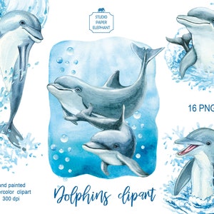 Aquarell Delfine Clipart, Sea Waves Clipart, Sea splashes Clipart, Bubbles, Sea background, PNG, direkter Download.