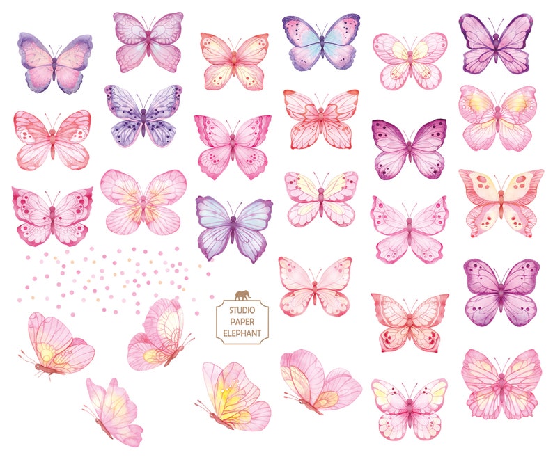 May include: A collection of watercolor butterfly illustrations in shades of pink, purple, and blue. The butterflies are arranged in a random pattern on a white background with pink polka dots.